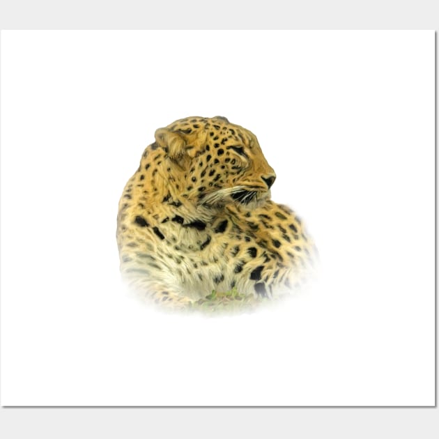 Leopard Wall Art by Guardi